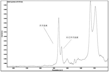 蛋白质纯度测试