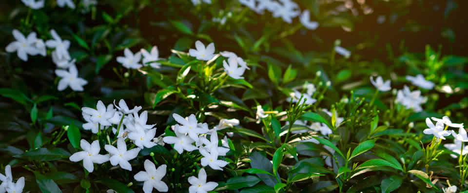 在线检测的维护运营服务